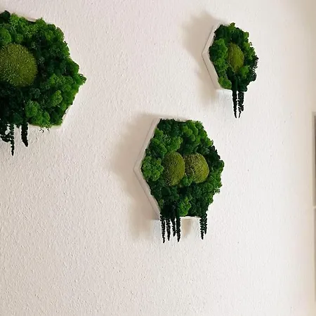 Mit Weitblick Appartement *